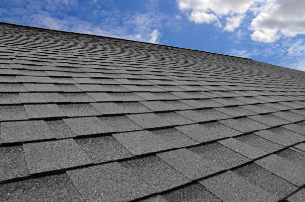 Steel Roofing in Conesus Lake, NY